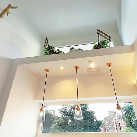 Mood - New & Special Bilbao