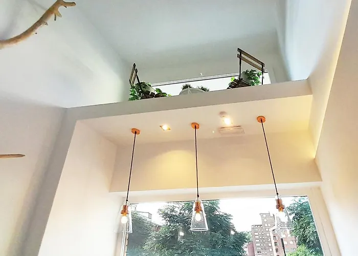 Mood - New & Special Bilbao